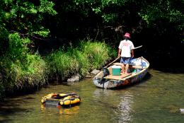 Exploring The Water Ways